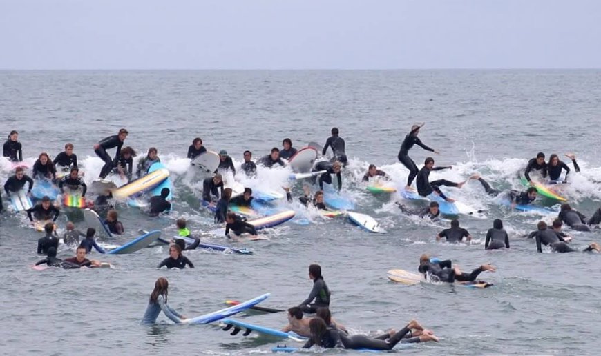 surfing mayhem