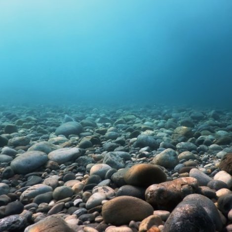 cobble stone rock sea bottom