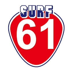 swelleye surf spot infographic