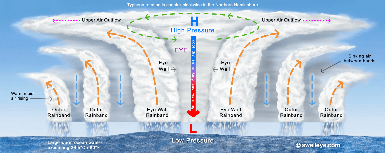 Typhoon Cross Section